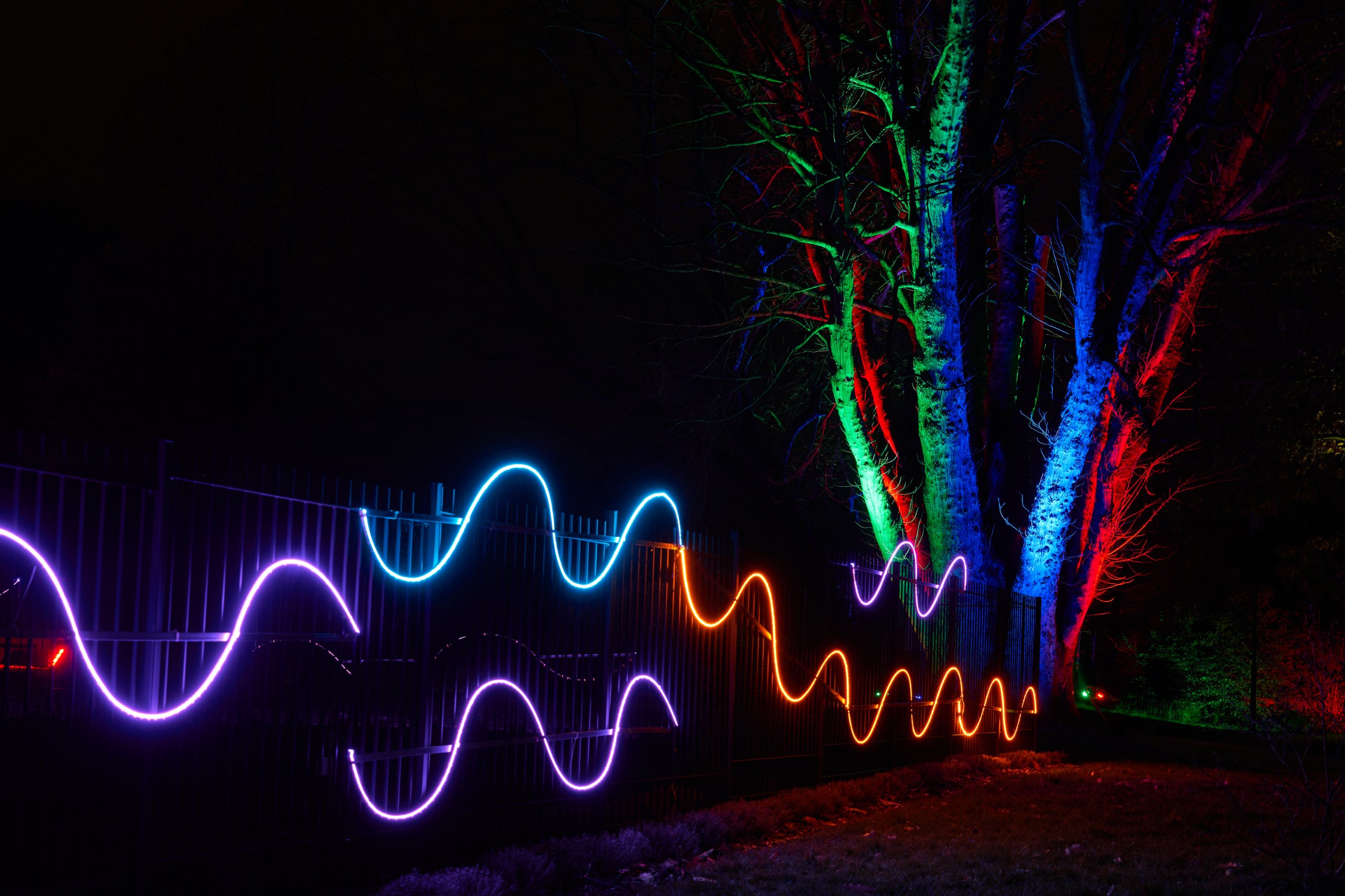 2023 01 24 Parkleuchten 0475